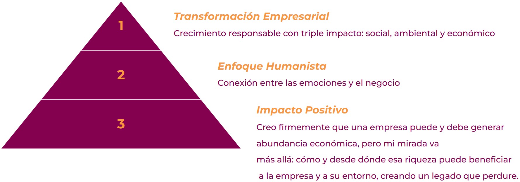 los tres pilares del enfoque y el proposito son la transformacion empresarial, el enfoque humanista y el impacto positivo.